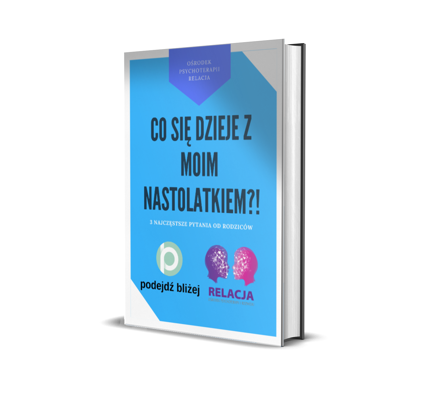 POZNAJ PYTANIA I ZOBACZ ODPOWIEDZI